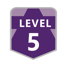 Top to top alignment between level5 and our clients for shared vision, strategy and goals. Level 5 Microsoft Dynamics Community Badges