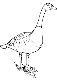 Search through 623,989 free printable colorings at getcolorings. Letter G Is For Goose Coloring Page Free Printable Coloring Pages 1708070 Png Images Pngio
