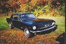 Image result for Raven Black 1964 Mustang