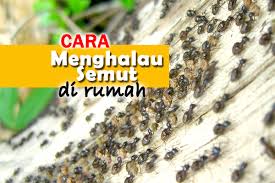 Mari kita simak beberapa doa yang sudah saya rankum lengkap dengan latin. 9 Petua Ini Berkesan Halau Semut Dengan Cepat Tanpa Menggunakan Racun