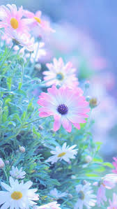 Theotime 30 On Twitter Flower Iphone Wallpaper Flowers Photography Flower Photos