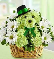 Patrick's day will be observed on wednesday, march 17. 43 St Patrick S Day Ideas In 2021 St Pattys Decorations Plant Gifts Flowers