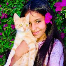 Legends Arceus: How to get Happiny to spawn?