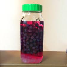 果実 酒 ブルーベリー