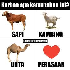  Ahmad Umam Ahmadumamaja Profil Pinterest