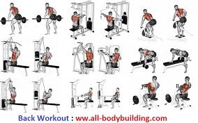 Back Workout Gym Egzersiz Ve Sağlıklı Spor Aktiviteleri
