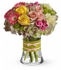 Our website has been created to provide a unique experience in the process of the order. Hollywood Fl Florists Flower Shop Directory