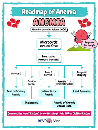 Image result for Microcytic Anemia