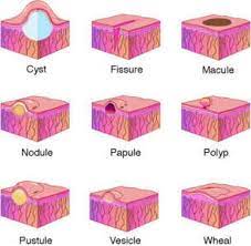 Pin By Mary White On Skin Nails Nurse Nursing School Dental Hygiene School