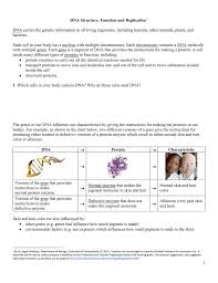 Some of the worksheets displayed are , work 1, dna, use your dna structure notes and chapter 17 to answer, adenine structure of dna, dna replication work, dna and replication work, honors biology ninth grade pendleton high school. Dna Structure Function And Replication 1