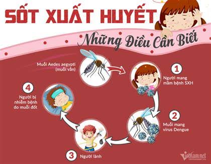Phòng chống bệnh sốt xuất huyết ở trẻ mầm non
