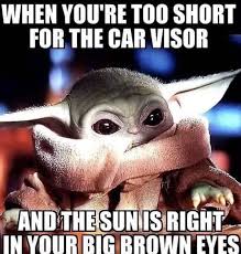 Pin By Rose Ramm On Warm N Fuzzy Thing S Part 3 Yoda Meme Yoda Funny Really Funny Memes