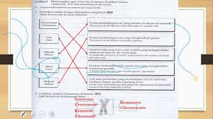 Sains Tingkatan 1 Skema Jawapan Youtube Otosection