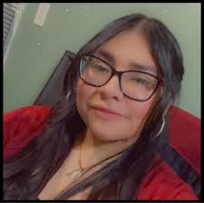 Are light sticks allowed at Seventeen shows in Illinois?