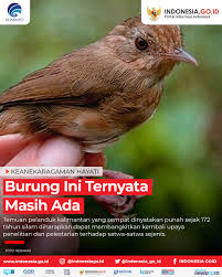 Check spelling or type a new query. Laman Resmi Republik Indonesia Portal Informasi Indonesia