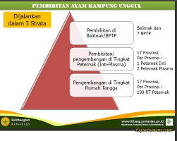 We did not find results for: Cara Memperoleh Doc Ayam Kub 1 Dan Ayam Sensi 1 Agrinak Elinotes Review