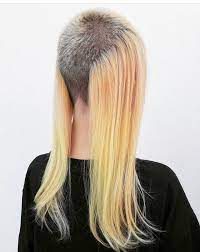 Pin Von Damian Torres Auf Insane Hairdo Haare Ab Haare Frisuren