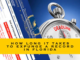 An expungement wipes your criminal record clean. How Long It Takes To Get A Florida Record Expunged Eric J Dirga