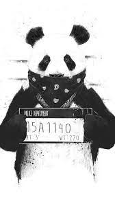 You can also upload and share your favorite gangster wallpapers hd. Gangster Panda Wallpapers Top Free Gangster Panda Backgrounds Wallpaperaccess
