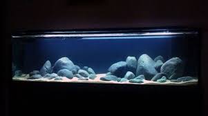 Hardscape Biotope Aquarium African Cichlid Aquarium Aquarium Sand