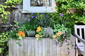 Check spelling or type a new query. The Vineyard Gazette Martha S Vineyard News A Box Of Flowers