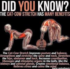 Pin By Taylor Cline On Work Out And Exercise Stuff Yoga Benefits Yoga Anatomy Yoga Moves