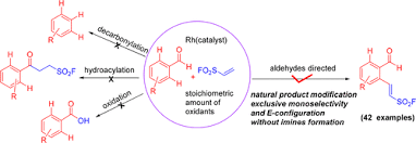 Explore these product recommendation examples you can use across your ecommerce store and email marketing efforts. A Rh Catalyzed Air And Moisture Tolerable Aldehyde Ketone Directed Fluorosulfonylvinylation Of Aryl C Sp2 H Bonds Organic Letters X Mol