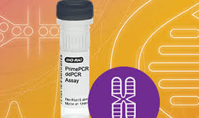 Buy the latest pc games, hardware and accessories at gamestop. Ddpcr Microsatellite Instability Msi Assay Biotechniques