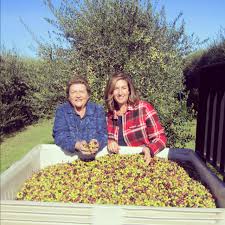 The Beautiful Mooney Women Mary Her Mom Gretchen Harvesting Olives At Mooney Farms Dog Food Recipes Food Animals Harvest