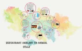 I can't use the analogy city or amusement park. Restaurant Analogy To Animal Cells By Sara Kawai