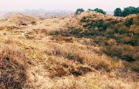 Pin Op Wandelen Vakantie Hond