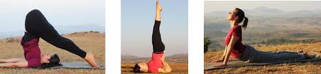 basic to advance asana yoga poses