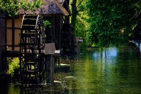 Photo credits: The old samurai