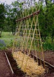 Step 1 wrap the second pole 8 Bamboo Tomato Cage Ideas Garden Trellis Vegetable Garden Garden Design