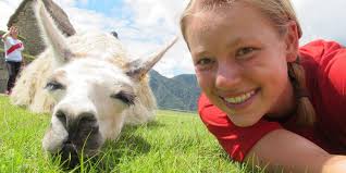 Study Abroad: Department of Spanish and Portuguese: Indiana University  Bloomington