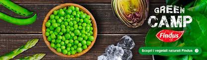 Per curare la propria forma fisica e per dare all'organismo le giuste energie per affrontare il lavoro, la famiglia e gli impegni quotidiani è bene inserire nella dieta alimenti ricchi di acido folico.una carenza di acido folico può portare a stanchezza, difficoltà di concentrazione, mal di testa o a problemi legati al sonno. Acido Folico Proprieta E Alimenti Che Lo Contengono Findus