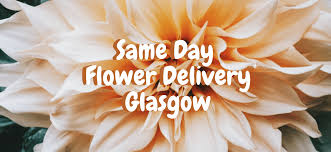 The expert glasgow florists deliver flowers with same day flower delivery, 6 days a week. The 7 Best Options For Same Day Flower Delivery In Glasgow 2021