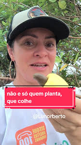 Norberto Acosta Pomares