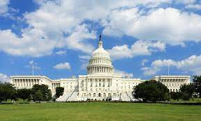 Washington— cientos de manifestantes leales al. Us Capitol Washington Dc Estados Unidos Hisour Arte Cultura Historia