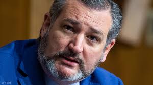 Saying mass shooting victims reap what they sow is completely outside of. Texas Democrats Call On Sen Ted Cruz To Resign After Capitol Hill Chaos Abc13 Houston