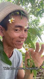 Asain Guy Flowers