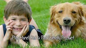 Protect your home from annoying pests. Pest Control Experts Mt Vernon Mt Pleasant Tx