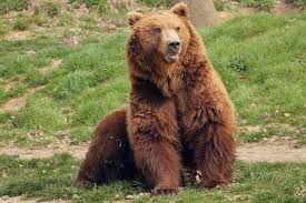 It has about 48,000 inhabitants. Zoo Decin Aktuelle 2021 Lohnt Es Sich Mit Fotos Tripadvisor