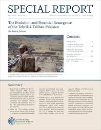Check spelling or type a new query. The Evolution And Potential Resurgence Of The Tehrik I Taliban Pakistan United States Institute Of Peace
