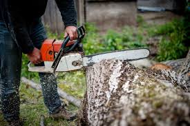 Devenir Garde Forestier 2021 Salaire Formation Metier