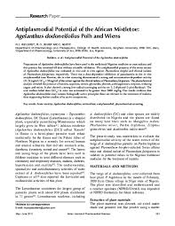 Image result for Agelanthus krausei