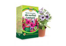 Image result for foto surfínie