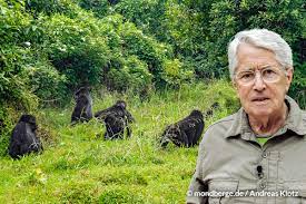 Die filme zeigen die vielfältigsten naturräume der erde, spektakuläre landschaften und das jeweils einzigartige tierreich. Frank Elstner Stellt Ihnen Im Fernsehen Die Mondberge Vor