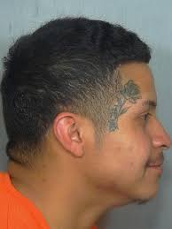 🚨 WARRANT WEDNESDAY 🚨 Today is National Bike to Work Day 🚴 ! It is also  Warrant Wednesday. The planets 🌎 🪐 ☀️ have aligned for this near cosmic  event. SO, we