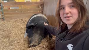 There's still time to make Herc's wish for his sister, Mercy, come true! 💖  Caregiver Dakota has taken some time out of her busy day to share Herc's  heartfelt letter to Santa. 🎅✨, Help bring their ...